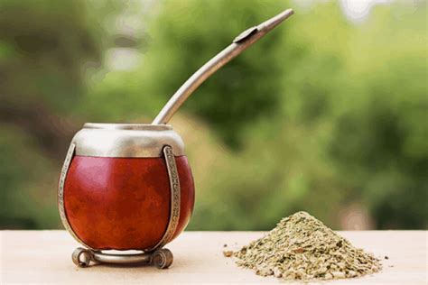 Best Yerba Mate Brands in 2024 | Top 10 Companies To Choose