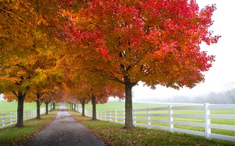 Take a Maryland Fall Foliage Trip | VisitMaryland.org