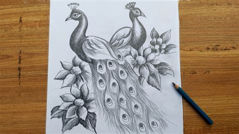 Peacock Drawing In Pencil