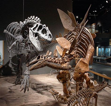 File:DMSN dinosaurs.jpg - Wikipedia