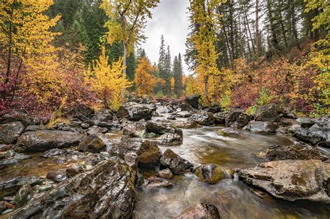 Fonds d'ecran Pierres Automne Forêts USA Flathead National Forest, Montana state Bryophyta ...