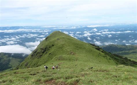 Trekking In Coorg: 15 Trails For An Adventurous Trip In 2022!