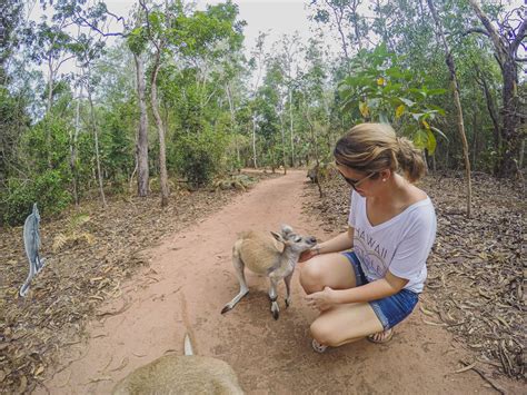 A Guide To Visiting The Territory Wildlife Park From Darwin, Australia