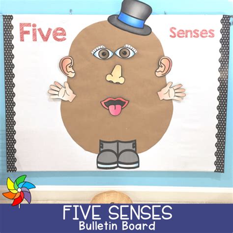 15 Fabulous Five Senses Activities for Preschoolers