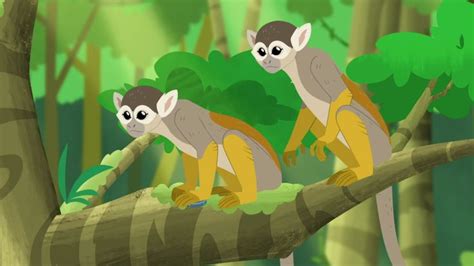 Humboldt's Squirrel Monkey | Wild Kratts Wiki | Fandom in 2021 ...