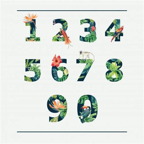 Free Vector | Number tropical alphabet typographic summer with plants foliage | Libre de ...