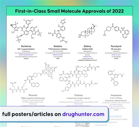 First-in-Class Small Molecule Drug Approvals of 2022