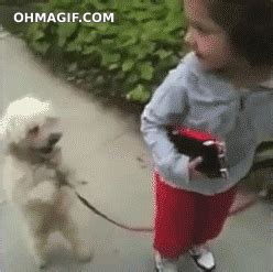 Funny Walking Dog Gifs