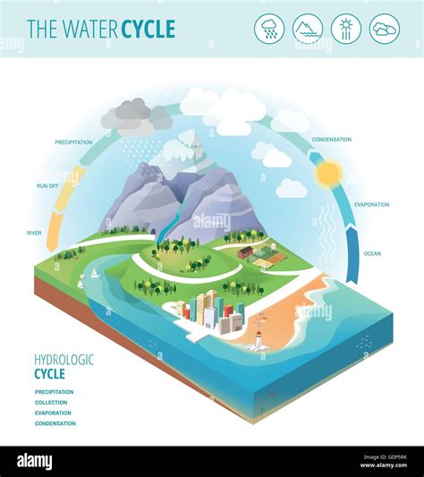 Diagram Of The Water Cycle Labeled