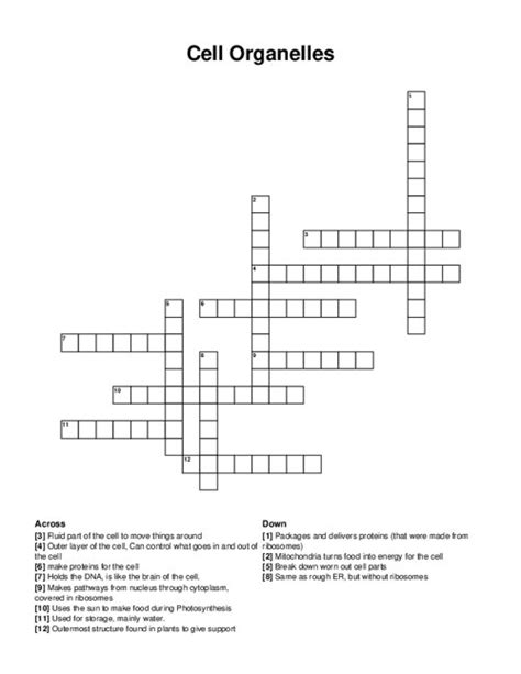 Cell Organelles Crossword Puzzle