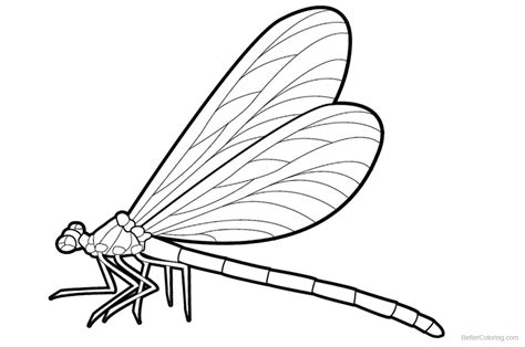 Dragonfly Coloring Pages Realistic Drawing - Free Printable Coloring Pages