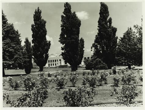 Parliament House gardens (Photograph)