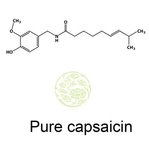 Pure Capsaicin - Capsaicin Extract Extreme Heat