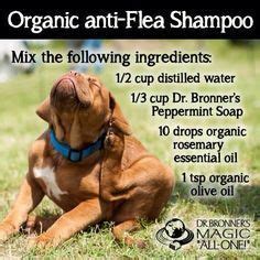 DIY organic anti-flea shampoo Diy Dog Shampoo, Dry Shampoo, Essential Oils Dogs, Essential Oils ...