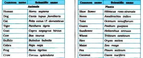 Doubt Solutions - Maths, Science, CBSE, NCERT, IIT JEE, NEET