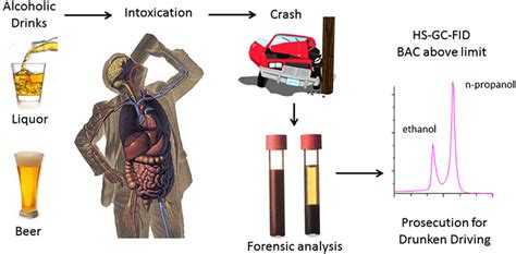 Alcohol Intoxication Symptoms