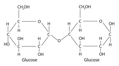 Structural Formula Of Maltose