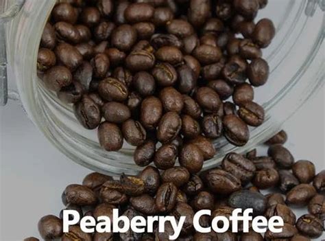 Roasted Coffee beans - Arabica Plantation Peaberry, For Home, Grade: Premium at ₹ 710/kg in Chennai