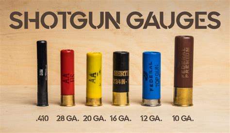 Shotgun Gauges Explained - Wideners Shooting, Hunting & Gun Blog