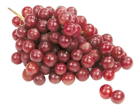 Red Grapes Isolated - Prepared Food Photos, Inc.