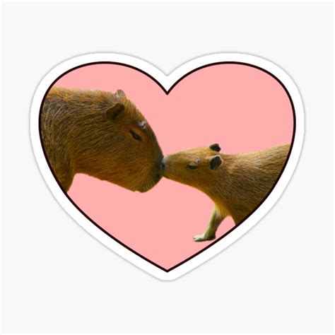 "Capybara love baby pink heart" Sticker for Sale by ArlacV | Redbubble