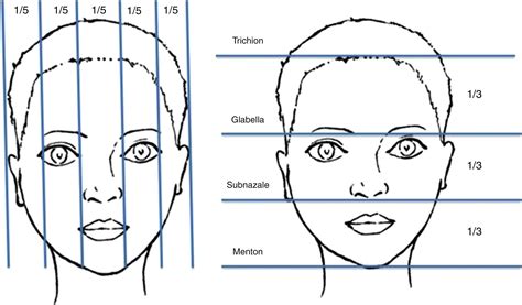 SciELO - Brasil - Assessment of facial analysis measurements by golden proportion Assessment of ...