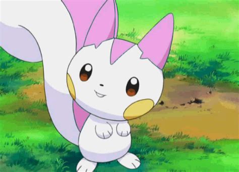 Gotta love Pokémon., Shiny Pachirisu