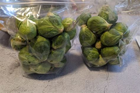 How Much Does a Brussels Sprout Weigh? - Farmhouse Guide