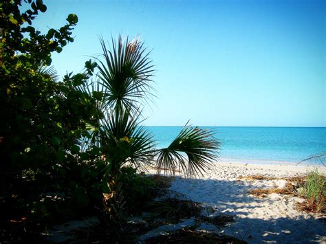 Typical beach day here on Manasota Key! Beach Paradise, Key West, Beach ...