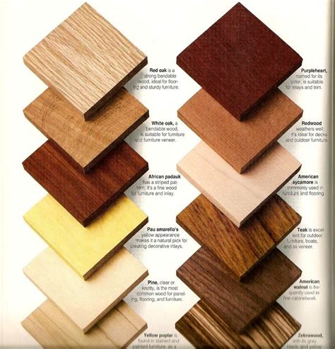 Wood Types & Samples for Client Reference | Painting wood furniture, Types of wood, Woodworking wood