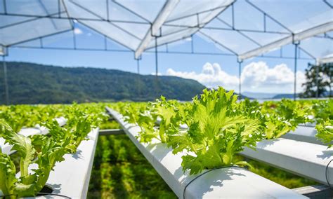 Finding New Ways of Farming in Morocco