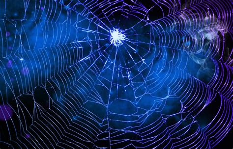 Spiderweb Background - WallpaperSafari