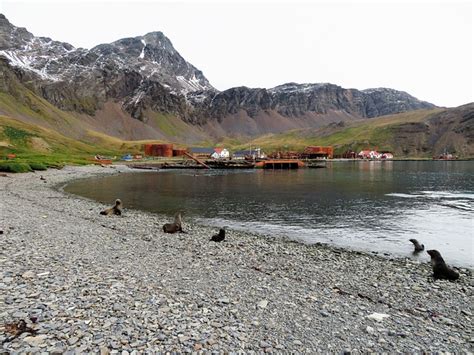 Grytviken Whaling Station - Free photo on Pixabay - Pixabay