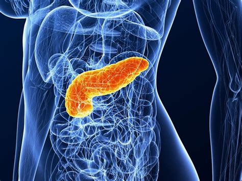 Exocrine Pancreatic Insufficiency