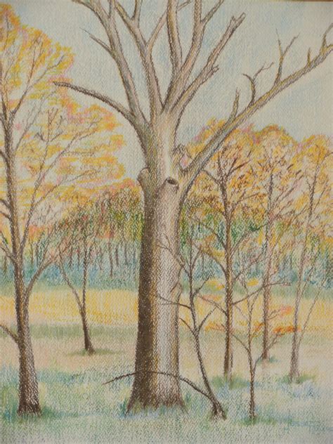 Color Pencil drawing of fall trees | Fall drawings, Landscape drawings ...