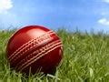 Free Stock Photo 4842 traditional cricket ball | freeimageslive