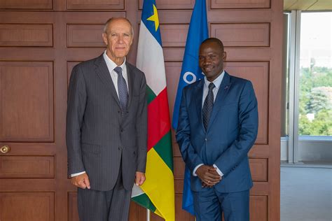 WIPO Director General Meets with Central African Republic … | Flickr