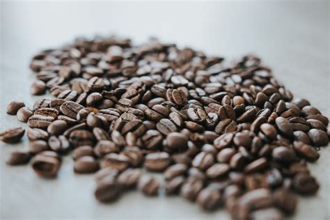 Free Images : jamaican blue mountain coffee, food, caffeine, Java ...
