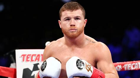 Canelo Alvarez Next Fight 2024 - Ninon Anallese