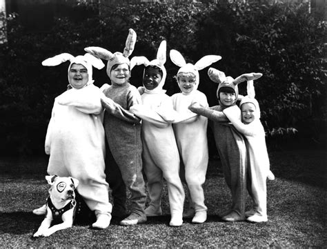 our gang bunny suits | Allison Marchant | Flickr
