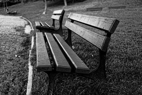 HD wallpaper: bench, park, park bench, outdoor, seat, nature, wood, rest | Wallpaper Flare