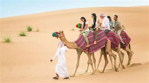 Complete Guide on Ras Al Khaimah Desert Safari in 2023 - WOW-RAK