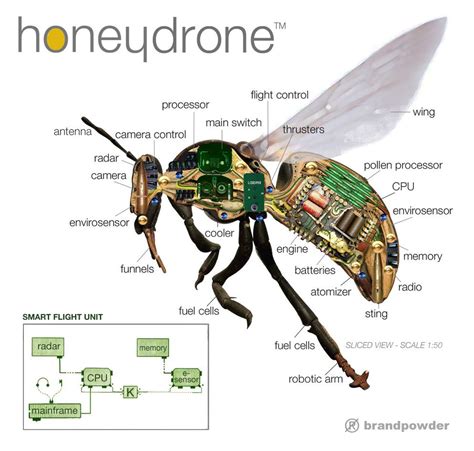 LADY BEE. - brandpowder | New technology gadgets, Drone technology, Drones concept