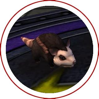 Kookaburra Pet Wizard101 : Pets Wizard101 Zoo Polar Bear Cub Fluffy ...