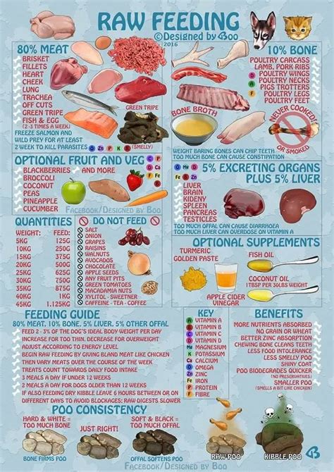 What To Feed A Rottweiler On A Raw Diet