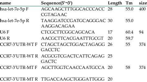 Oligonucleotide primer sets for real-time PCR | Download Scientific Diagram