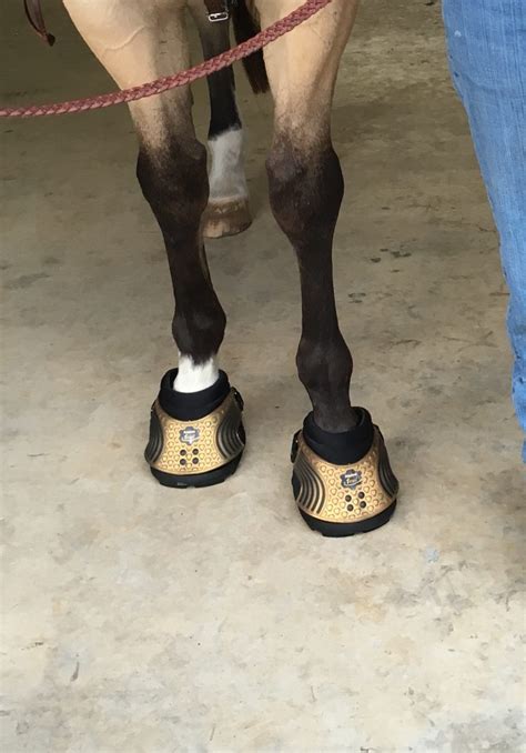 EasyCare Dealer: Teskey’s Saddle Shop - EasyCare Hoof Boot News