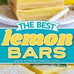 The BEST Lemon Bars Recipe | Mom On Timeout