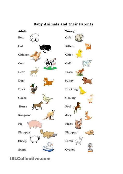 Baby Animals | Teaching English | Pinterest | Baby animals