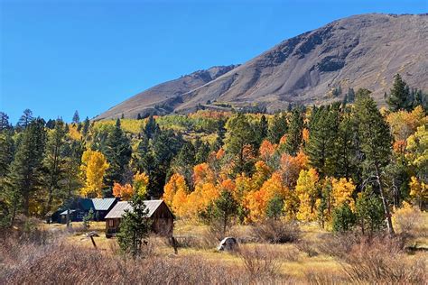 Autumn Ablaze in Hope Valley - Sacramento Valley